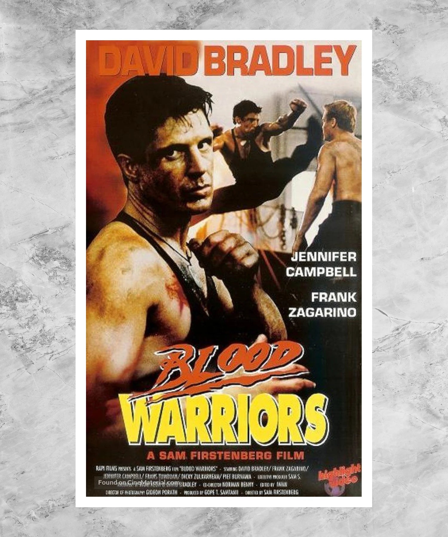 Blood Warriors Poster