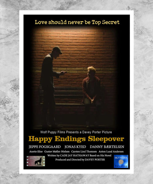 Happy Endings Sleepover Poster