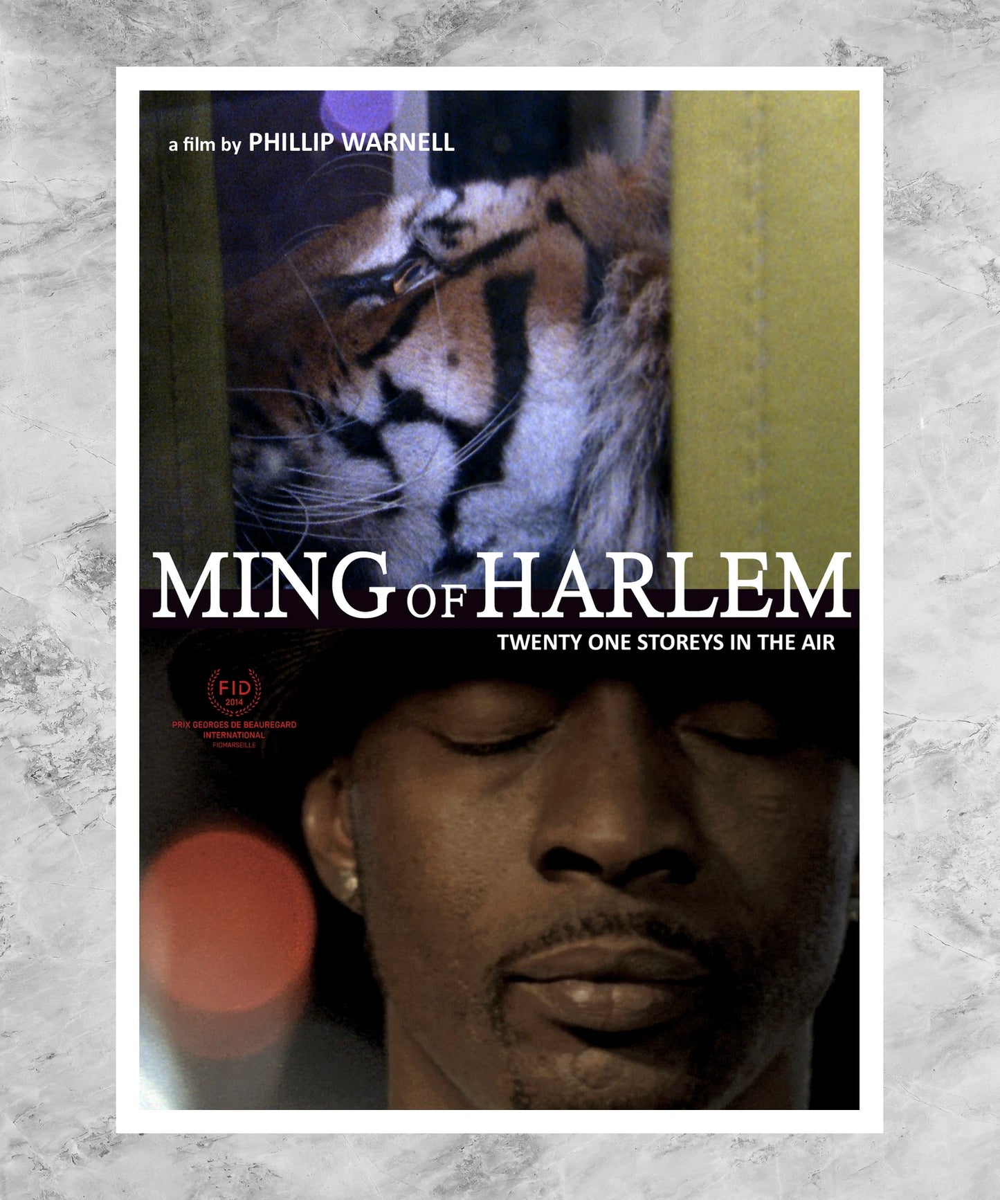 Ming of Harlem: Twenty One Storeys in the Air Poster