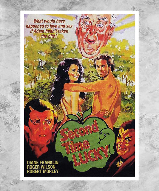 Second Time Lucky Poster
