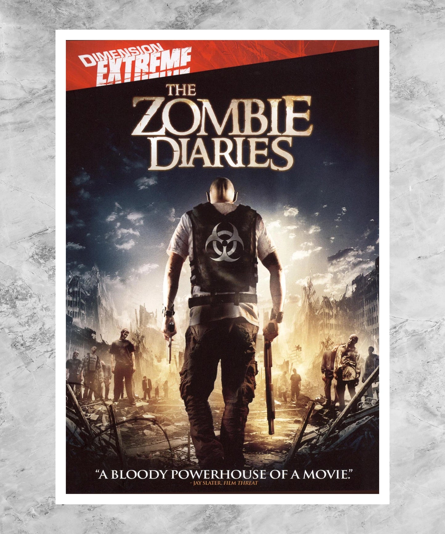 The Zombie Diaries Poster